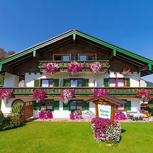 - Alpenstern Gasthof